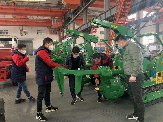 进口草莓视频黄片免费下载