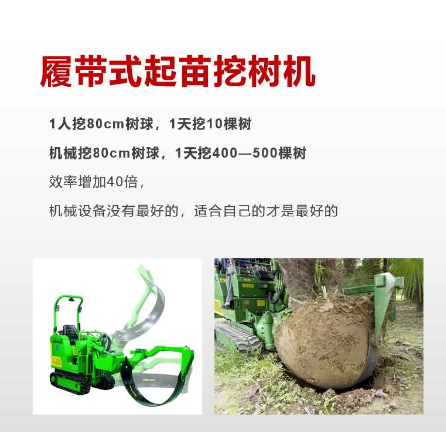 履带式起苗草莓视频黄片免费下载