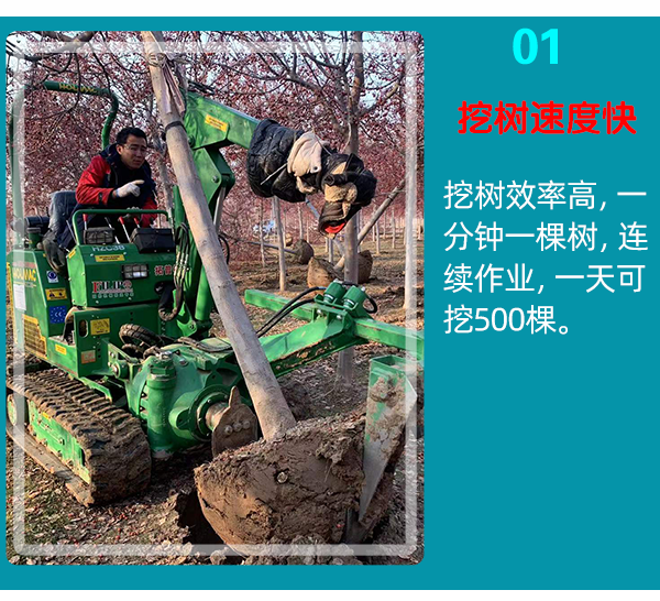 草莓视频黄片免费下载