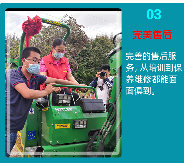 草莓视频黄片免费下载