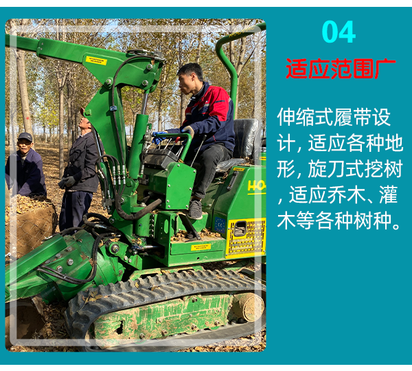 草莓视频黄片免费下载