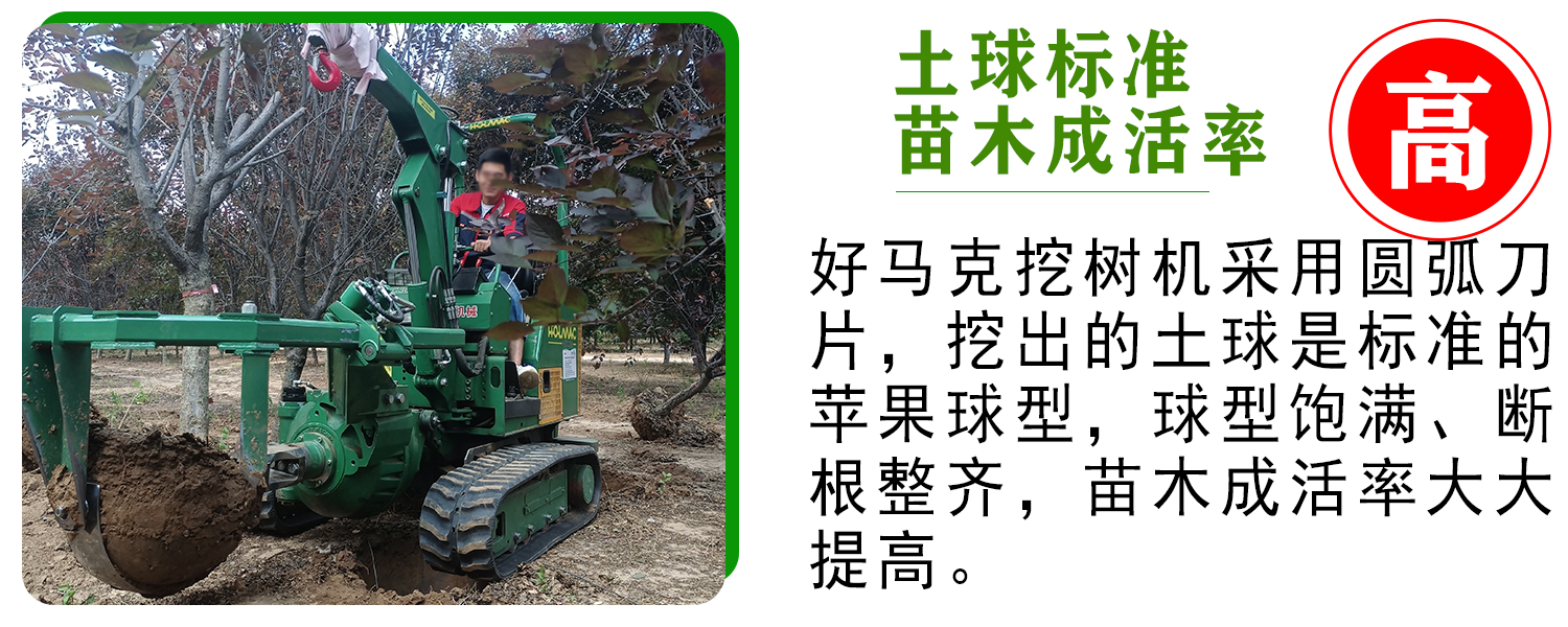 好马克草莓视频黄片免费下载