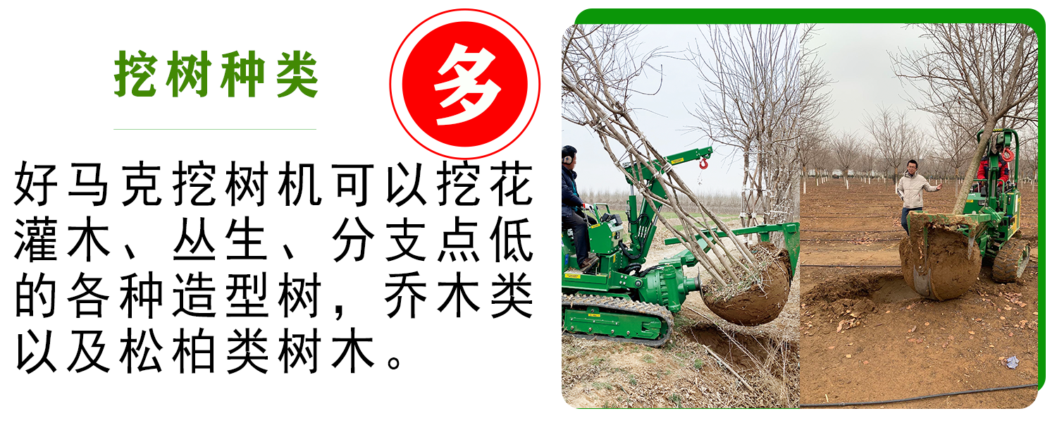 好马克草莓视频黄片免费下载