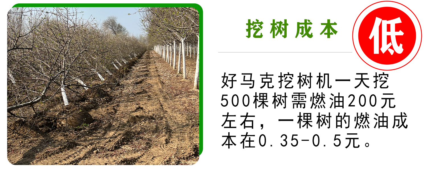 好马克草莓视频黄片免费下载