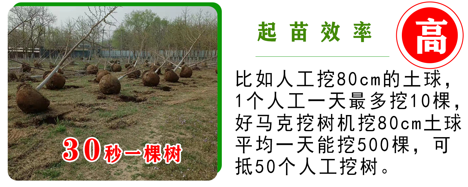 好马克草莓视频黄片免费下载