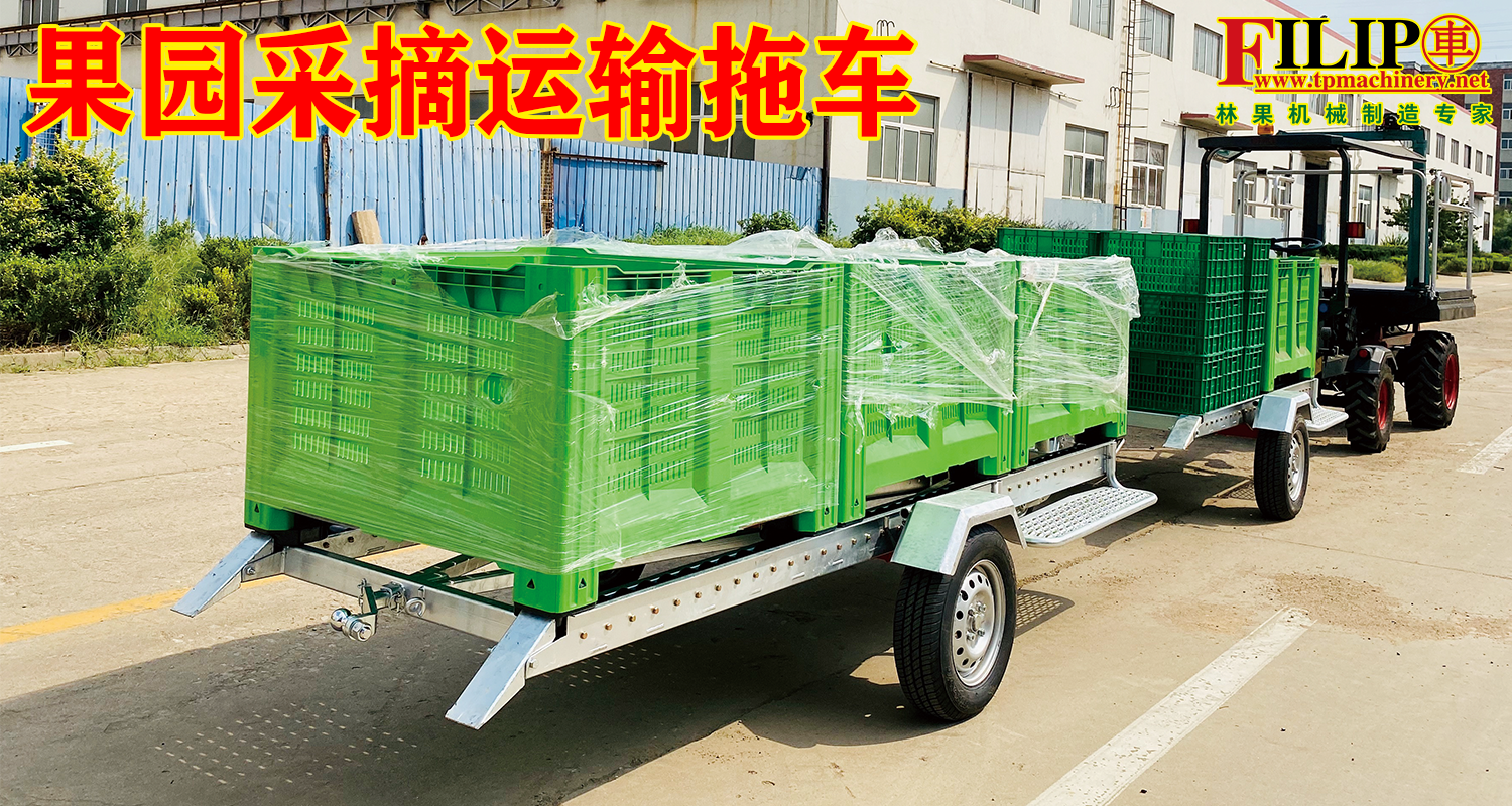 果园运输草莓视频APP污污污下载