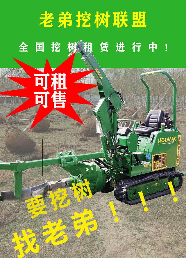 草莓视频黄片免费下载2.png